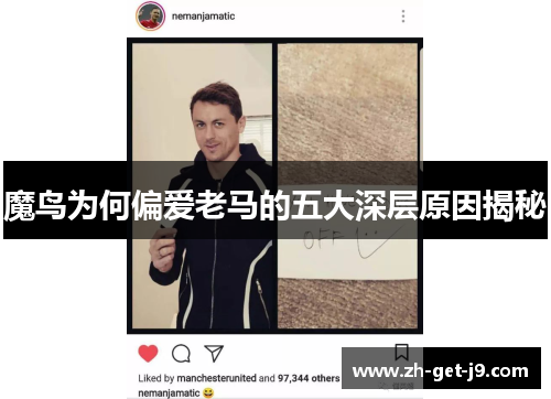 魔鸟为何偏爱老马的五大深层原因揭秘